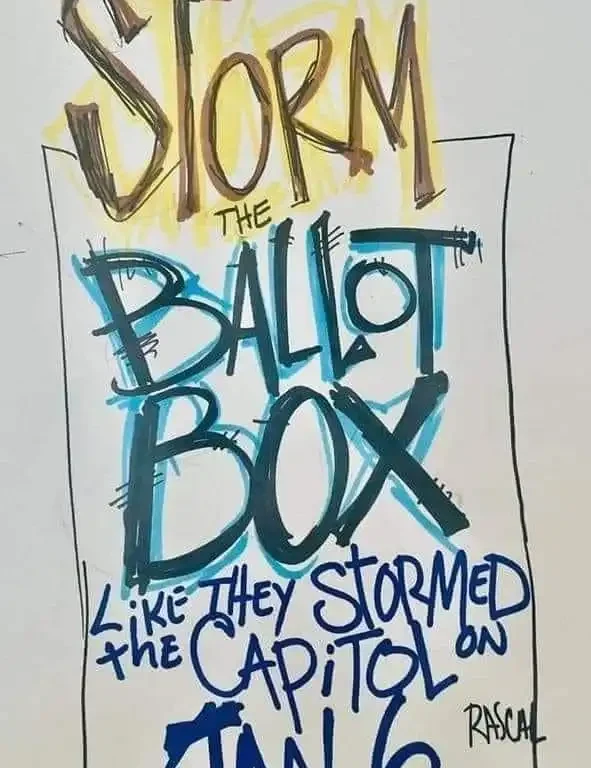 Storm the Ballot Box