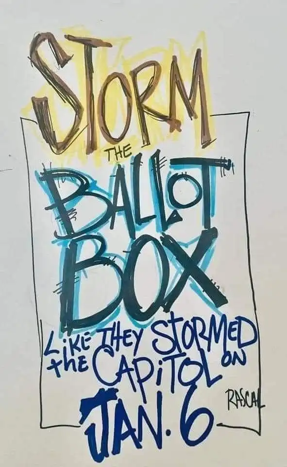 Storm the ballot box poster